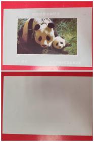 熊猫邮票收藏纪念张（2－1）（内蒙古巴盟邮票公司）