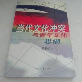 當(dāng)代文化沖突與青年文化思潮（此書版權(quán)頁(yè)被撕掉）