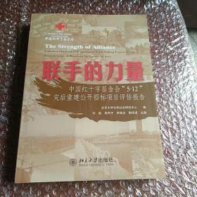 联手的力量·中国红十字基金会5.12灾后重建公开招标项目评估报告