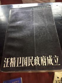 汪精卫国民政府成立