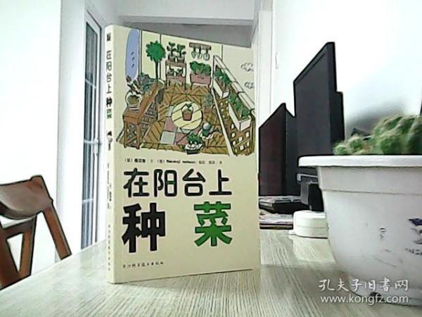 在阳台上种菜