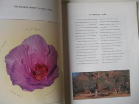 DISCOVERING CENTRAL AUSTRALIA发现澳大利亚中部