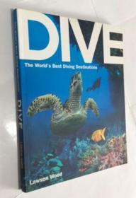 英文原版 Dive: The World's Best Dive Destinations 潜水：世界上最佳的潜水胜地