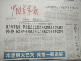 中国青年报2019年4月3日