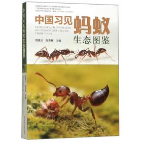 中国习见蚂蚁生态图鉴 河南科学技术出版社