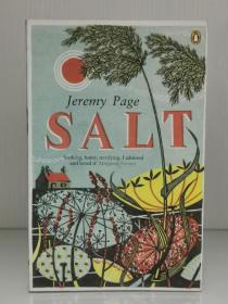 Salt by Jeremy Page（英国文学）英文原版书