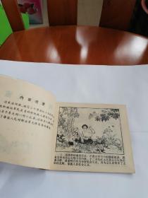 连环画：两只小孔雀