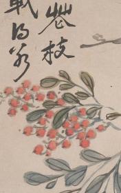 李鱓(李禅) 植物蔬菜图册八开。每开大小27.43*33.87厘米。宣纸原色仿真