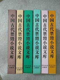 中国古代禁毁小说文库 第一辑全六册