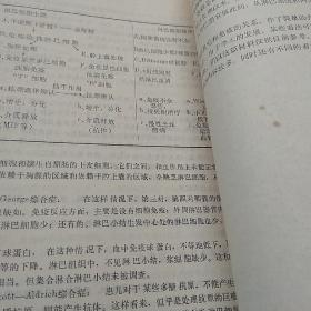 淋巴样细胞和免疫