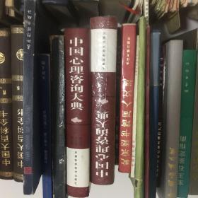 中国心理咨询大典（精装 巨厚 从事心理工作必备的专业巨著）