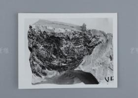 中科院院士、著名考古学家、地质学家 贾兰坡 签名四川永川鱼骨化石标本照片一件 HXTX312831