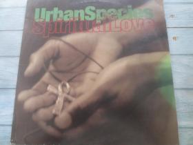 Urban Species ‎– Spiritual Love 放克嘻哈 爵士饶舌 黑胶LP唱片