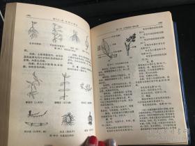 《农村医生手册(新4版)》湖南医学院1971人民卫生32开1241页：这部系统全面实用的中西医经典教材，包括除四害讲卫生、战伤急救和核化生武器损防、疾病防治(中医·解剖·病史与体检·症状鉴别诊断·急救·传染病·肿瘤·内科·儿科·外科·计生·妇产·眼科·耳鼻咽喉·口腔科·皮肤科·)、诊疗技术(诊断·新医疗法·输血和输液·治疗护理·麻醉·消毒和手术)、药物(农村制药·常用中草药·化学药物)五篇33章。