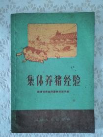 集体养猪经验（1960年一版一印）