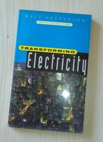 英文原版 Transforming Electricity by Walt Patterson 著