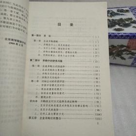 企业并购:财务与会计的解释