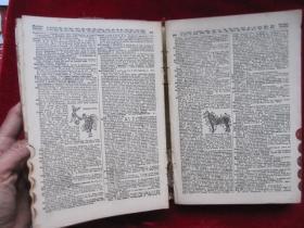 The Desk Standard Dictionary of the English Language: Abridge from the Funk & Wagnalls New Standard Dictionary of the English Language（A New Edition）案头标准英语词典：节略自《芬克·瓦格纳标准英语词典》（新版 货号TJ）