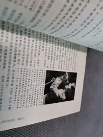 波光洞穿：名诗人自杀揭谜
2008一版一