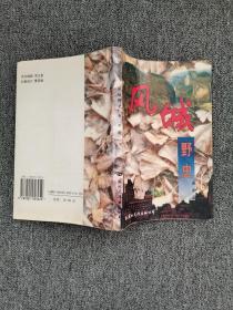 风城 野史 /赵刚 国际文化出版