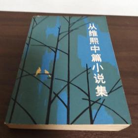 从维熙中篇小说集