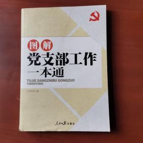 图解党支部工作一本通 /石国亮 人民日报出版社