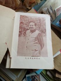 中医药文摘汇编