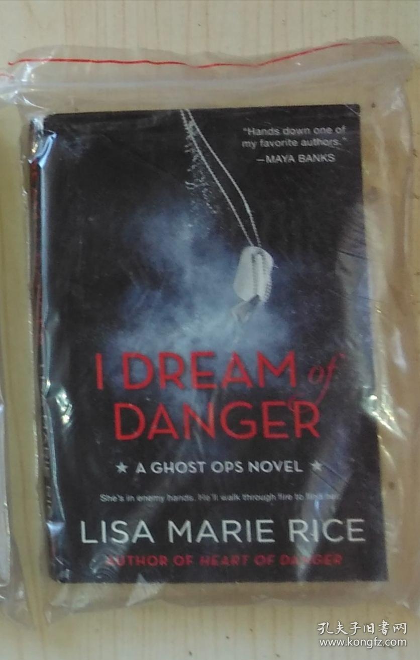 英文原版 Dream of Danger by Lisa Marie Rice 著