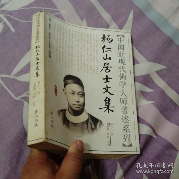 中国近现代佛学大师著述系列：杨仁山居士文集