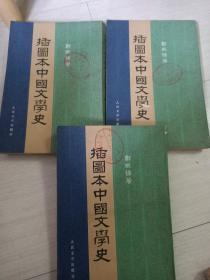 插图本中国文学史234