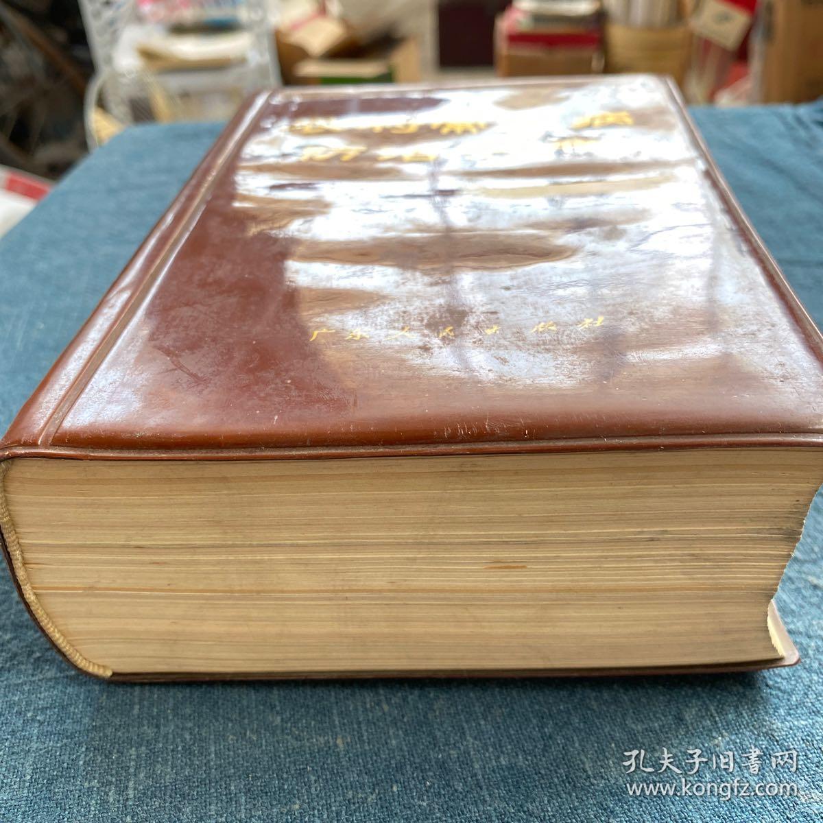 农村常见病防治手册 一版一印