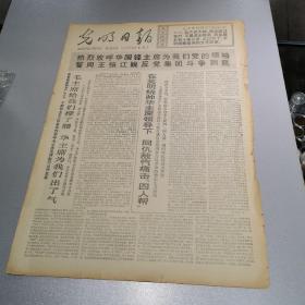 1976年11月10日光明日报痛击四人帮2页4大版