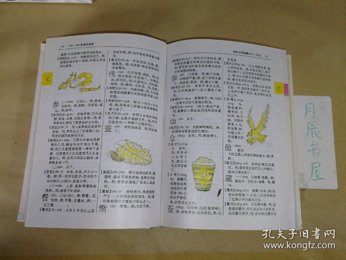 彩色版新编现代汉语小词典