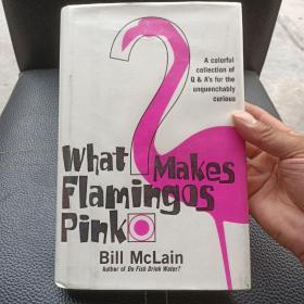 What makes flamingos pink ?