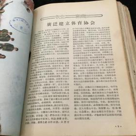 1956年1-6、8-24期《新体育》（半月刊）