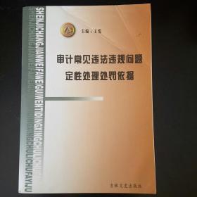 审计常见违法违规问题定性处理处罚依据 /王悦 吉林文史出版社