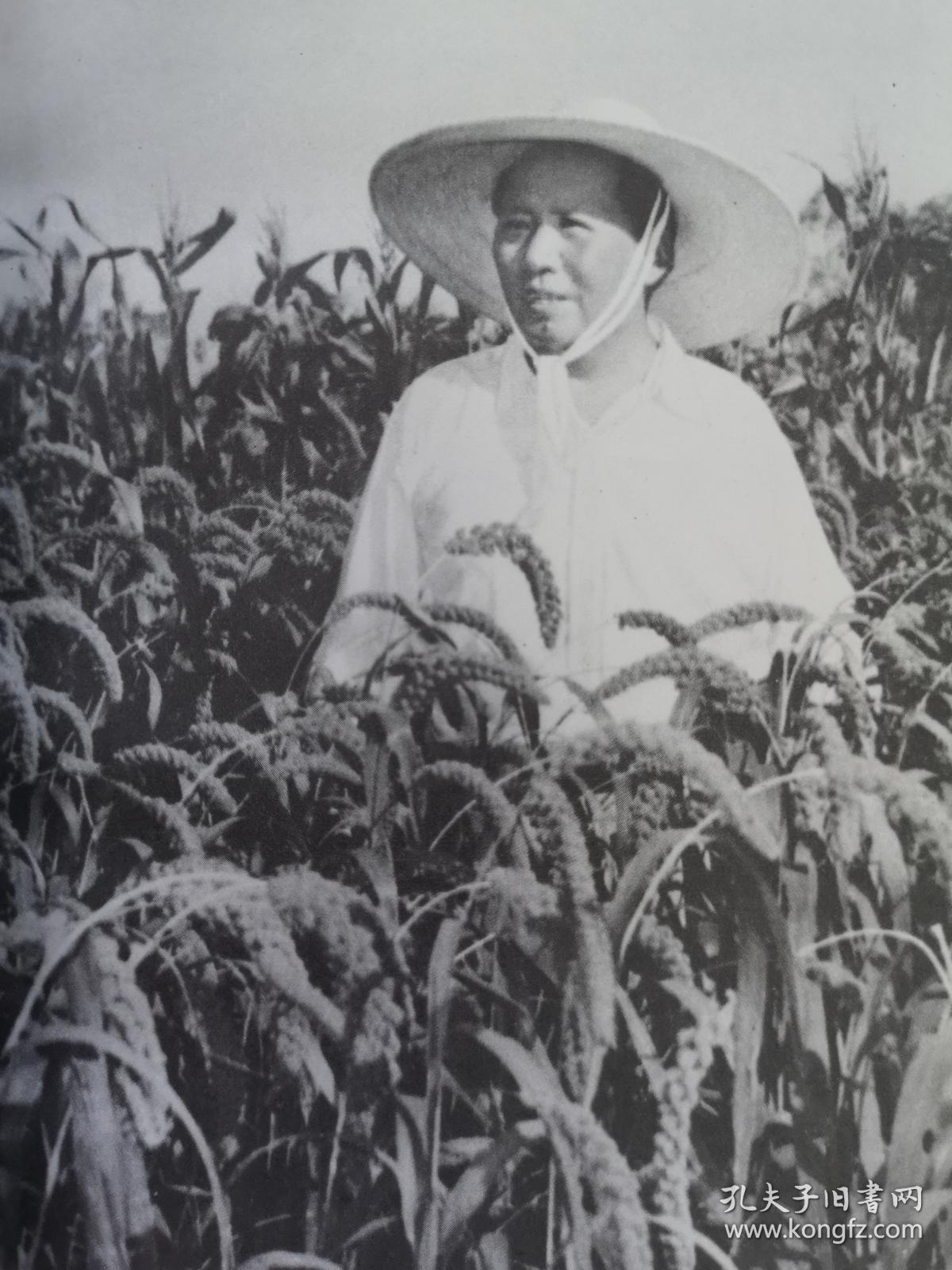 《农业学大寨》（第八辑 ），农业出版社1972年平裝大32開、一版一印、館藏書籍、全新未閱！包順丰！