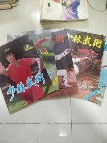 少林武术1988年2、3、4、5、6，期，5本合售，双月刊【铁汉臂功法，泰拳为何称雄于世，日本踢拳道，养心强身益气口诀，伤颗止血验方，奇门十三肘，明天拳家传统急救方选，等见图。】