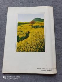 《多依河》
纪念邓小平同志诞辰一百周年专刋
（2004年第2期总第27期）