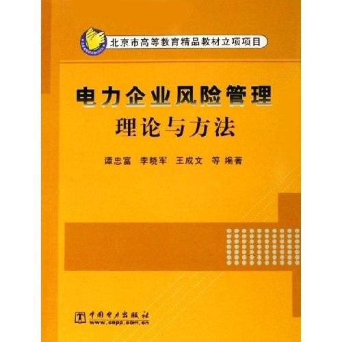 电力企业风险管理理论与方法