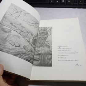 《东方少年》三十五年精选《成长吧，少年！》第二季：青蛙跳到月亮上·纯美文学