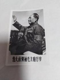 老相片