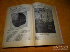 PRINCIPLES OF PLANT PATHOLOGY OWENS  【植物病理学原理】