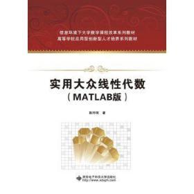 正版现货 实用大众线性代数（MATLAB版）