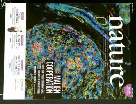 自然原版外文杂志期刊 nature 508 1-144 2014/04/03 no.7494