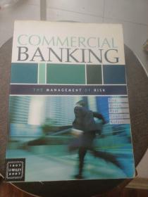 COMMERCIAL BANKING
   THE MANAGEMENT OF RISK