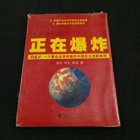 正在爆炸中的R&V：一个整合全球资源的中国自主创新案例（未拆封，附光盘）