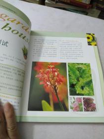 赖人植物