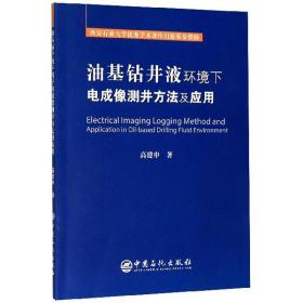 油基钻井液环境下电成像测井方法及应用