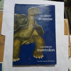 GALAPAGOS[精装外文画册]